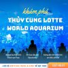 THỦY CUNG LOTTE WORLD AQUARIUM