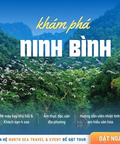 Tour Nửa Ngày Cho Học Sinh: Quảng Ninh – Cố Đô Hoa Lư – Vườn Chim Thung Nham