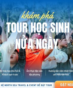 tour-hoc-sinh-nua-ngay